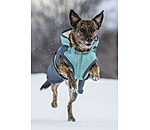 Manteau d'hiver pour chien avec doublure en polaire Teddy, 100 g  Glacier Bay