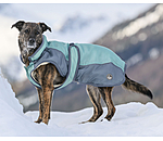 Manteau d'hiver pour chien avec doublure en polaire Teddy, 100 g  Glacier Bay