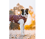 Impermable pour chien  Pumpkin Spice, 0 g