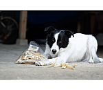 Peau de t�te d'agneau pour chien