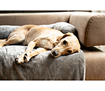 Couvre-canap�  Guard