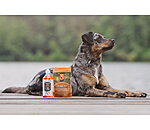 Mlange d'herbes pour chien  Clean Teeth