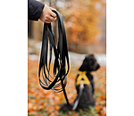 Longe Waterproof pour chien  Ginny