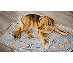 Tapis pour chien  Glow in the Dark