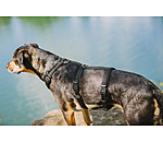Harnais de scurit pour chien  Irmi