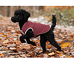 Gilet softshell rversible pour chien  Willa, 80 g