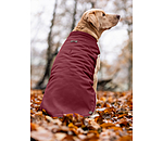 Gilet softshell rversible pour chien  Willa, 80 g