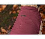 Gilet softshell rversible pour chien  Willa, 80 g