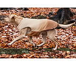 Gilet softshell rversible pour chien  Willa, 80 g