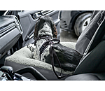 Coussin sige-auto pour chien  Maine