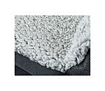 Coussin sige-auto pour chien  Maine