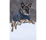 Manteau pour chien matelass� avec LED  Arlo, 300 g