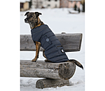Manteau pour chien matelass� avec LED  Arlo, 300 g