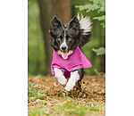 Manteau de pluie pour chien  Thousand Islands, 0 g