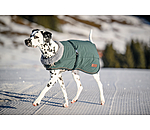 Manteau d'hiver pour chien avec doublure en fourrure Teddy  Gizmo, 200 g