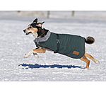 Manteau d'hiver pour chien avec doublure en fourrure Teddy  Gizmo, 200 g