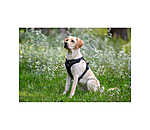 Harnais pour chien  Expedition