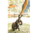 Jouet en peluche pour chien  Bounce