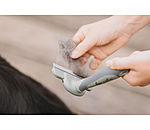Brosse pour la mue  Furry