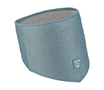 Foulard pour chien  Cooling