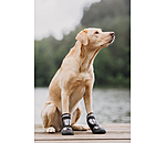 Chaussons pour chien  Dubai