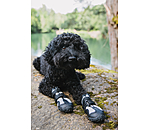 Chaussons pour chien  Dubai