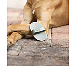 Brosse pour chien  Zeyna