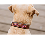 Collier pour chien en cuir  Good Dog