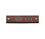 Collier pour chien en cuir  Good Dog