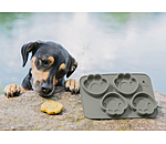 Moule  gateau pour chien en silicone