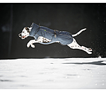 Manteau d'hiver pour chien  Marlon, 200-300 g