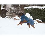 Manteau d'hiver pour chien  Marlon, 200-300 g