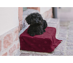 Couverture polaire  Charly