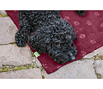 Couverture polaire  Charly
