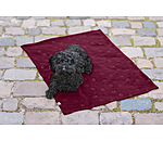 Couverture polaire  Charly