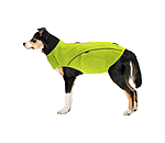 Gilet de s�curit� r�fl�chissant pour chien