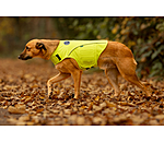 Gilet de s�curit� r�fl�chissant pour chien