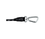 Laisse pour chien  Expedition
