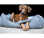 Jouet pour chien  Cord