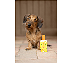 Jouet couineur  glace