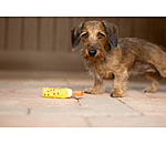 Jouet couineur  glace