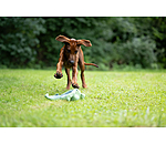 Jouet pour chien  Octopus