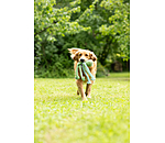 Jouet pour chien  Octopus