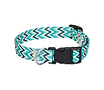 Ensemble collier et laisse  Zap