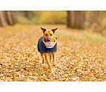 Manteau matelass� pour chien avec doublure en polaire Teddy  Holly