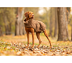 Manteau matelass� pour chien avec doublure en polaire Teddy  Holly