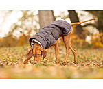 Manteau matelass� pour chien avec doublure en polaire Teddy  Holly