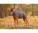 Manteau matelass� pour chien avec doublure en polaire Teddy  Holly