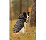Veste d'hiver l�g�re pour chien  Anton