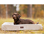 Lit pour chien  Komet